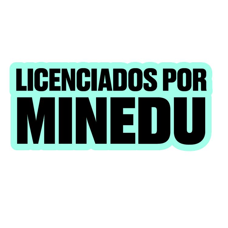 Licenciados por MINEDU